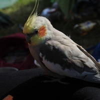 9583670db45e0b18eb0015652e061384.jpeg