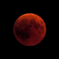 98c870d63520b2c5574cae9e4027fb0c@2x.jpeg