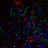 ab561b5eaa976b752f6b948c46f6a21b@2x.jpeg