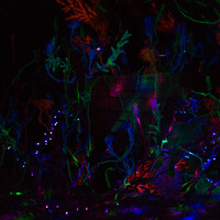ab561b5eaa976b752f6b948c46f6a21b.jpeg