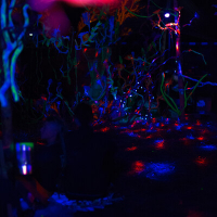 b7bd526154de20817ebb1107dbf554c2@2x.jpeg